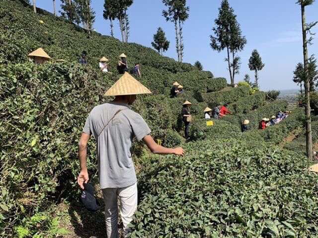 Students travel to Chengdu, China