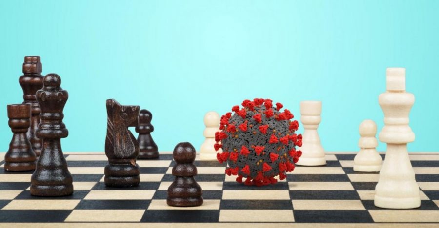 Photo Courtesy of Chess.com
