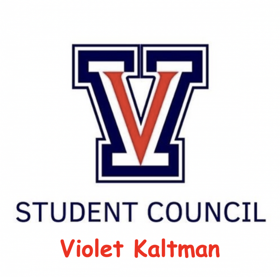 Upcoming junior Violet Kaltman announces her candidacy for Executive Board President