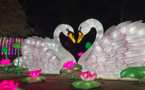 One of the many lanterns displayed at L.A. Zoo Lights: Animals Aglow
