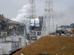 12 Years Later: The Long Term Impact of Fukushima-Daiichi