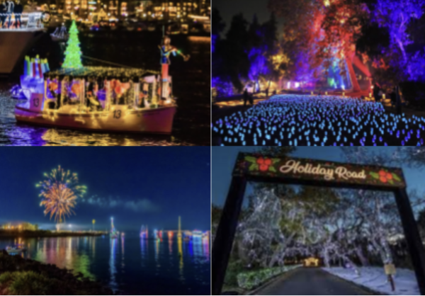 In the Need of Holiday Cheer? Light Shows are the New Best Activity